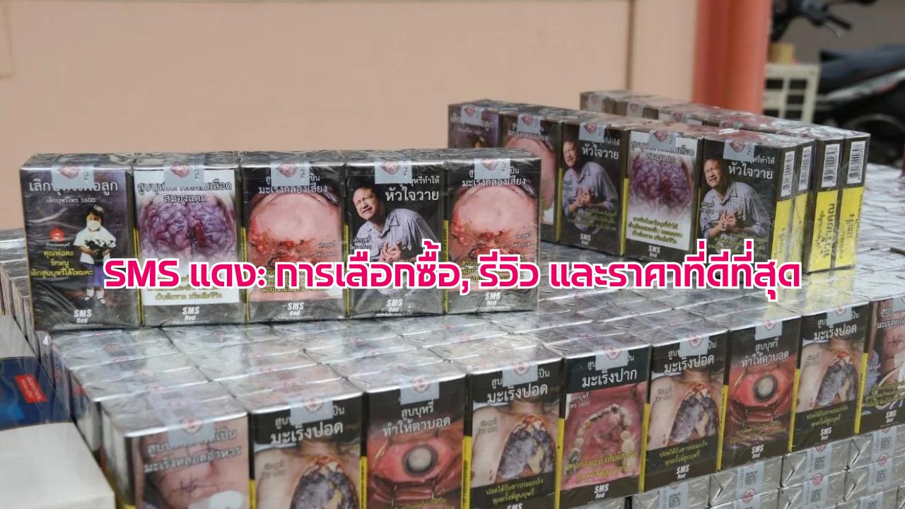 SMS แดง: การเลือกซื้อ, รีวิว และราคาที่ดีที่สุด