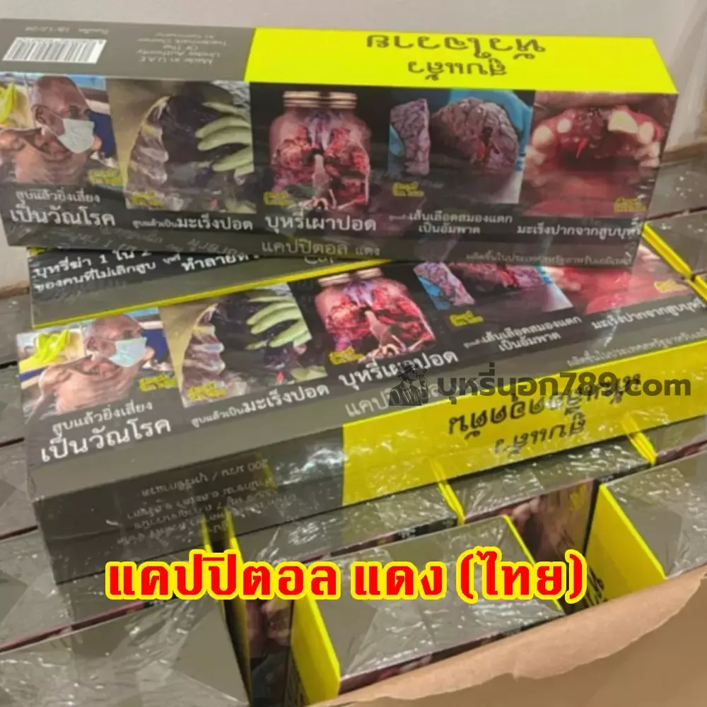 แคปปิตอลแดง.webp Capital แคปปิตอล แดง (ไทย) ซองแข็ง - Image 1